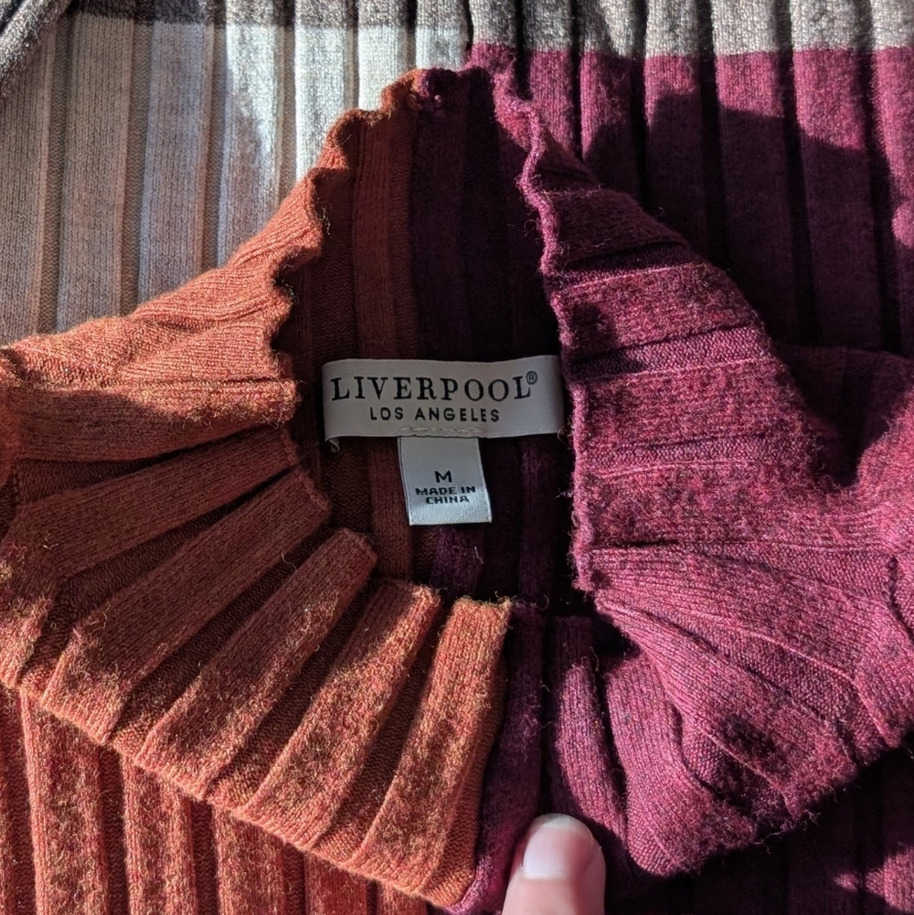 Mod Color Block Turtleneck - Picture 2 of 2